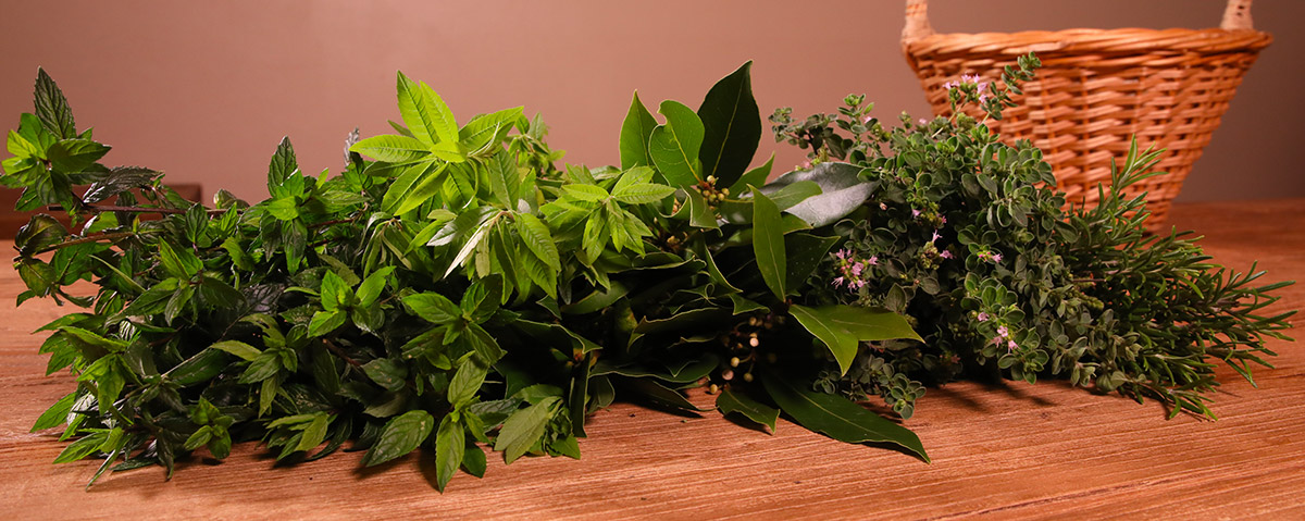 herbes aromatiques fraiches de l'Herbier des saveurs
