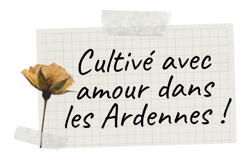 Infusions tisanes Ardennes, Reims, Asfeld
